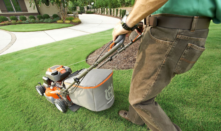 Lawn edges