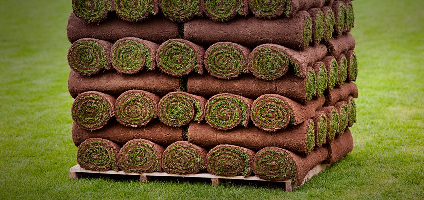 Choosing The Right Turf