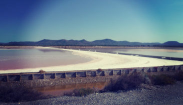 Salt Pan In Sardinia