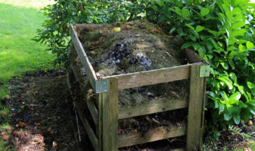 Compost heap