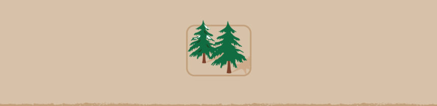 Create a Garden Habitat with an Old Christmas Tree