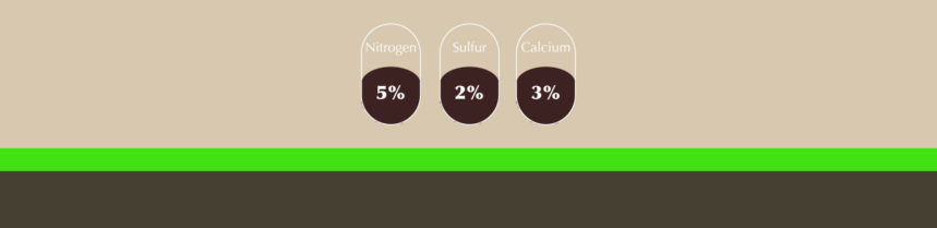 Nutrients in soil
