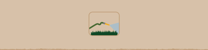 Water Wise Gardening Tips