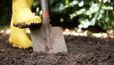 Topsoil What Is It