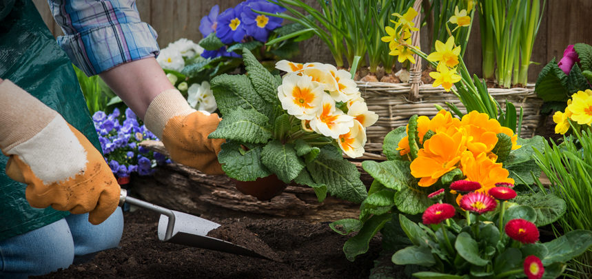 Topsoil Top Tips