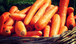 Carrot 3