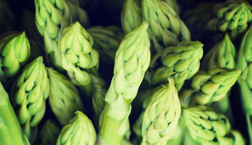 Asparagus 3