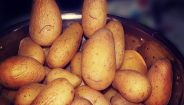 Potatoe 1