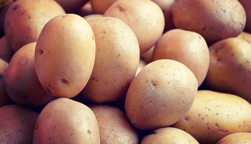 Potatoe 2