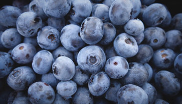 Blueberries