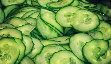 Cucumber
