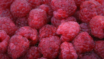 Raspberries