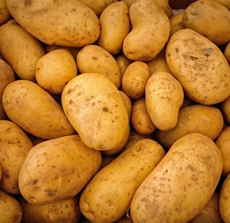 Potato Square