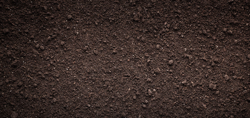 Topsoil For Laying Turf