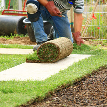 London Turf Supplier Page