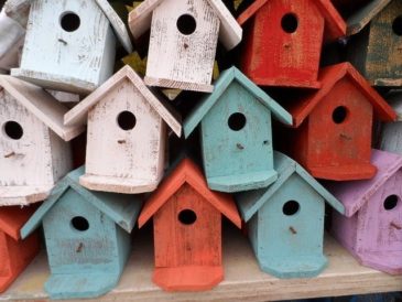 Bird house 72332 640
