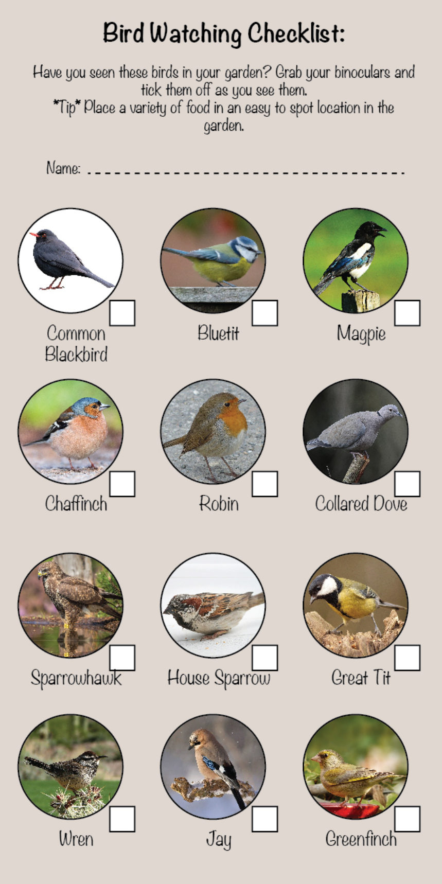 Garden birds