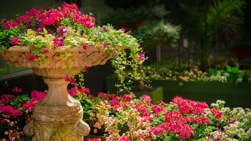 Gardens