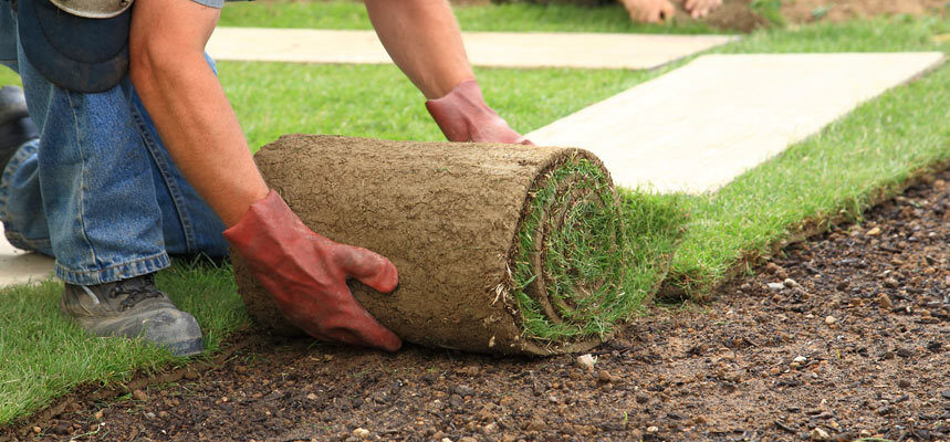 How Quickly Do I Need To Lay Turf After Delivery