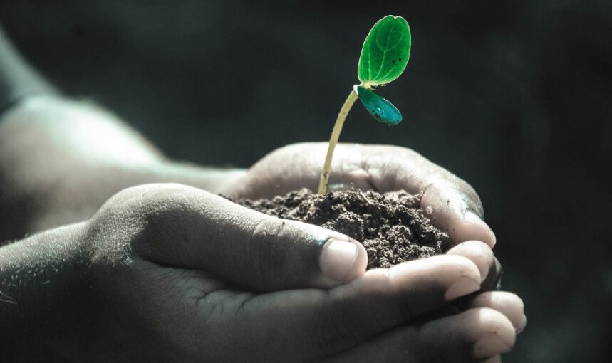 Soil Day