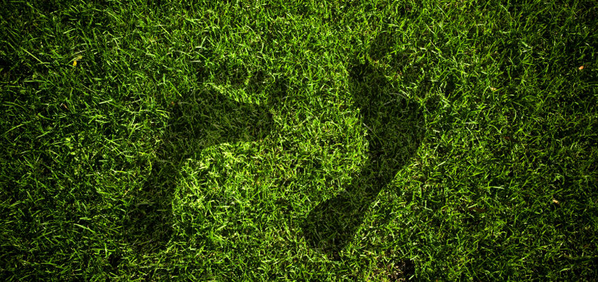 Carbon Footprint