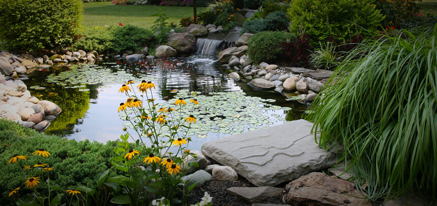 Landscpaing