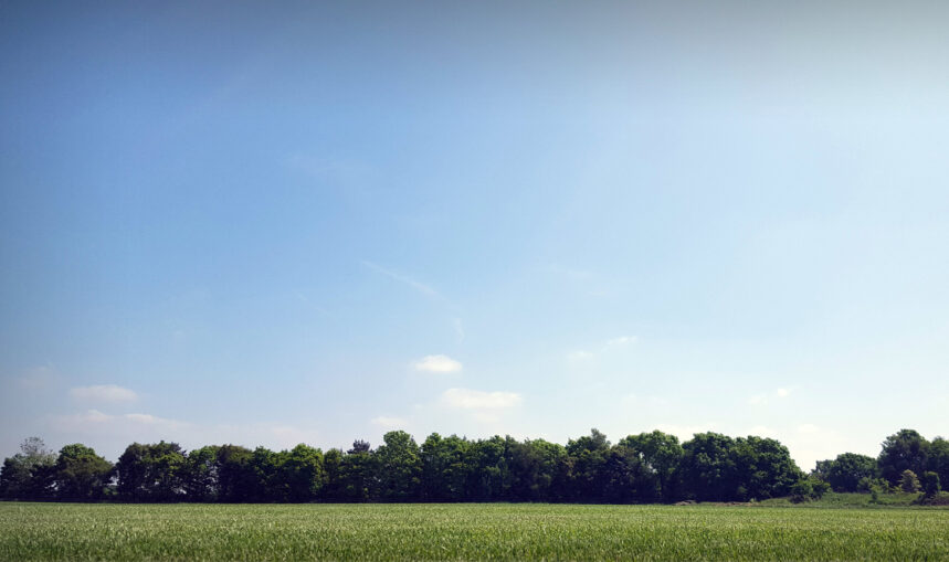 Natural Vs Artificial Grass